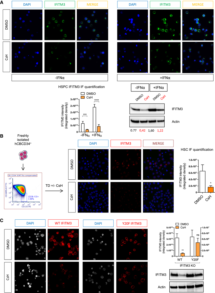 Figure 6