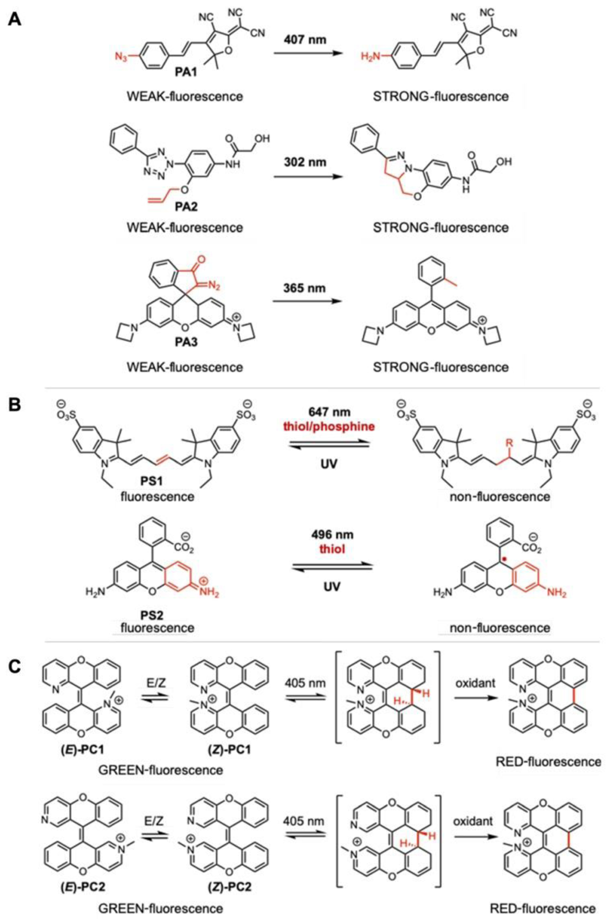 Fig. 12