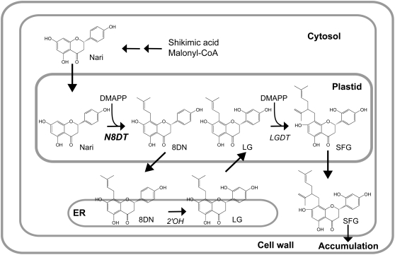 Figure 1.