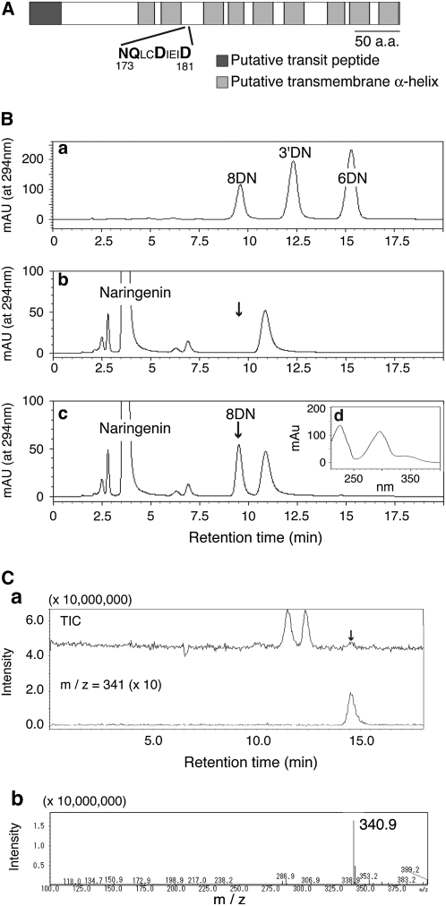 Figure 2.