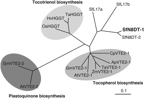 Figure 6.