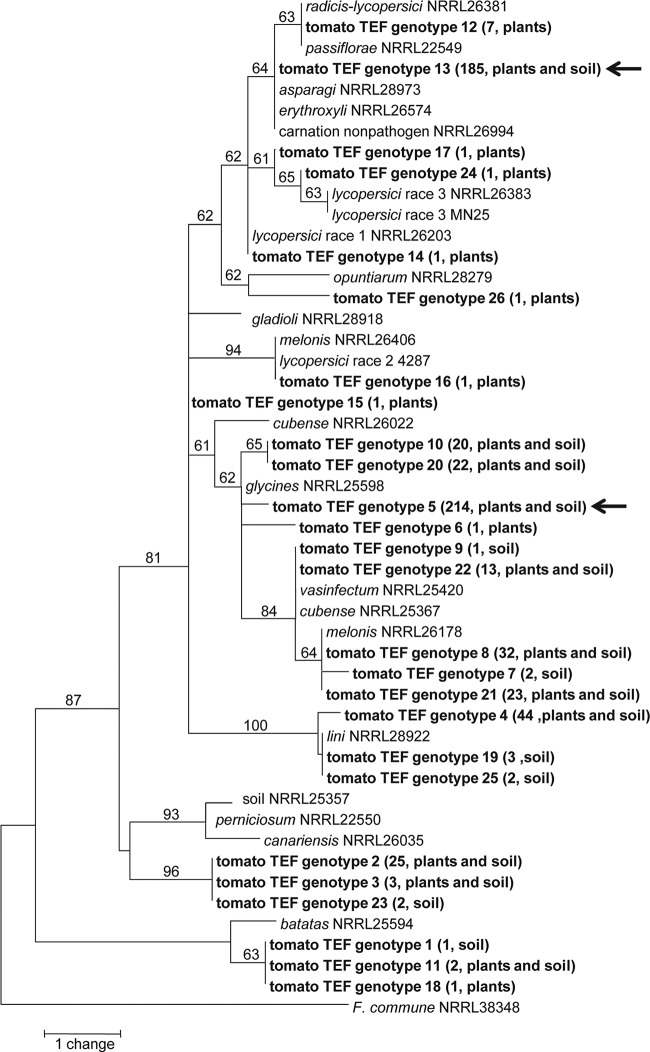 FIG 5