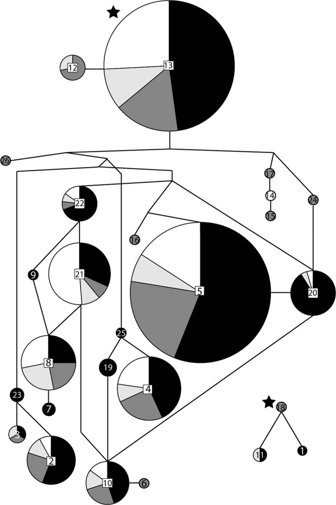 FIG 4