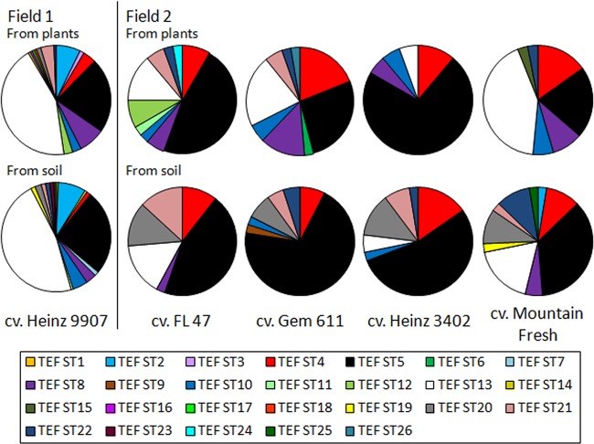 FIG 2