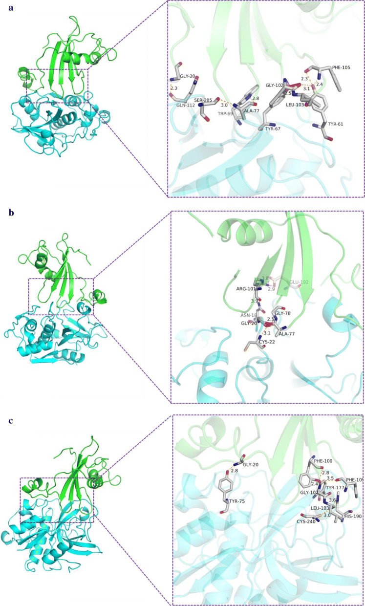 Fig. 6