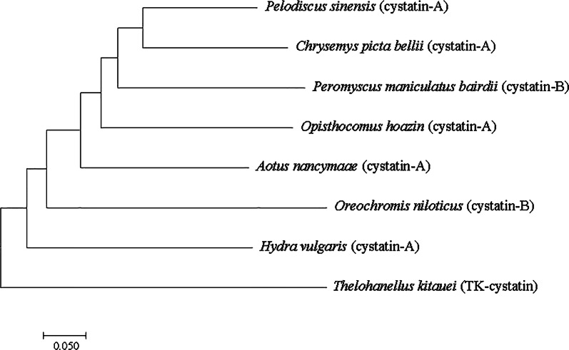 Fig. 3