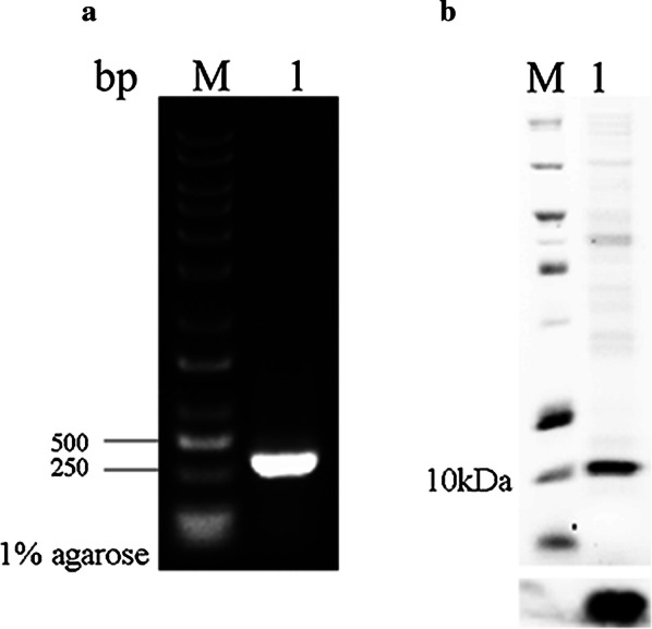 Fig. 7