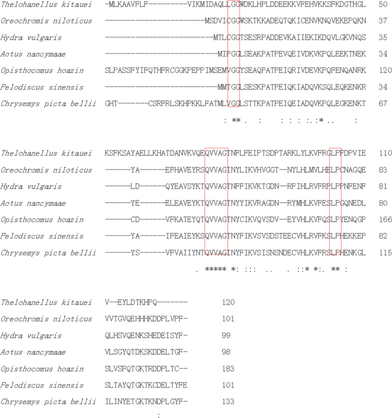 Fig. 4