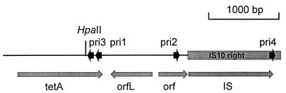 FIG. 1