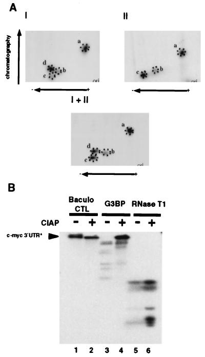 FIG. 6
