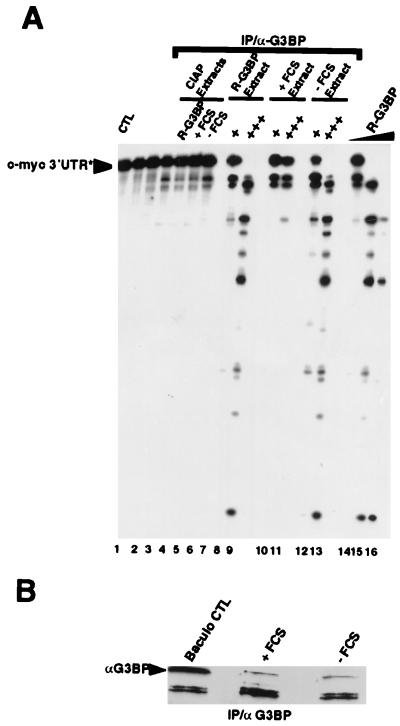 FIG. 7