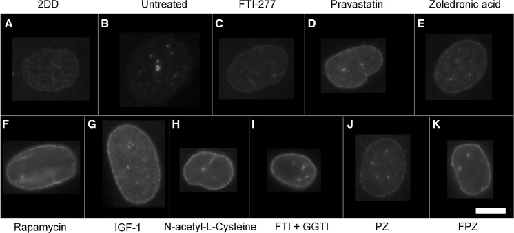 Fig. 10