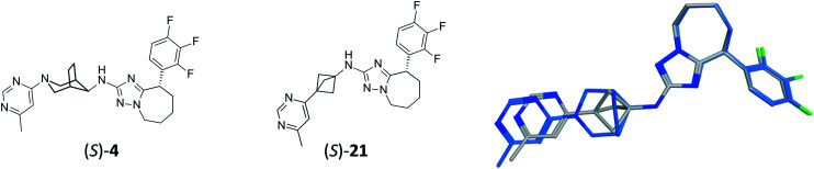 Fig. 5