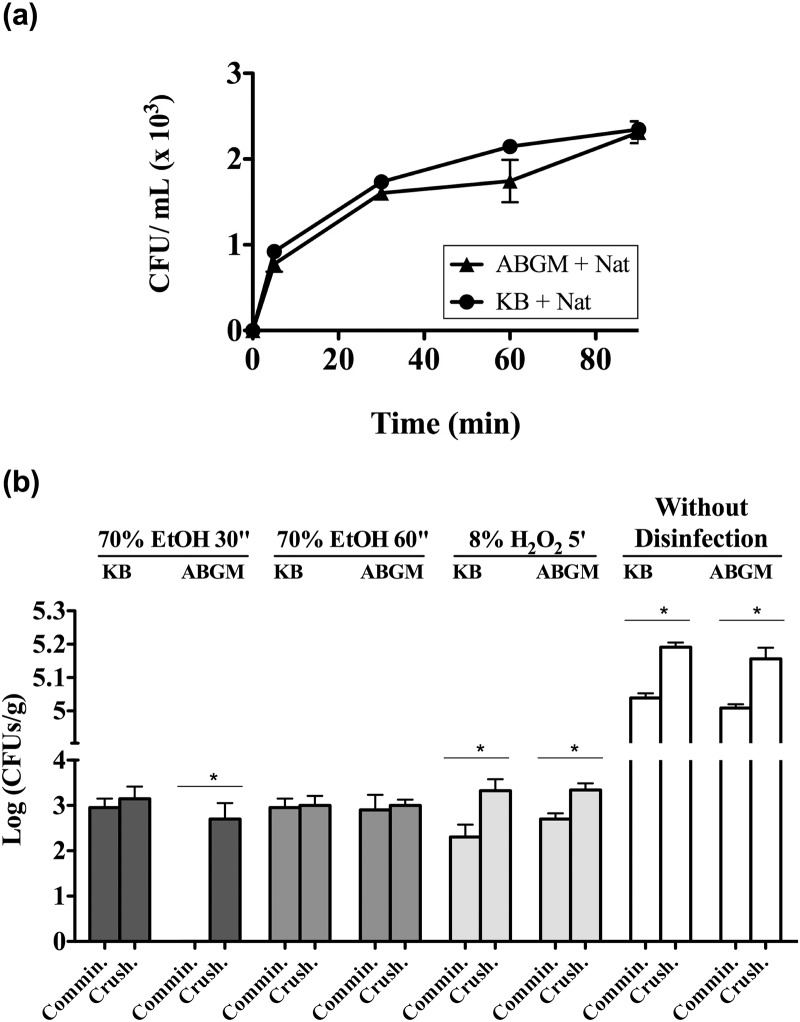 Fig 9