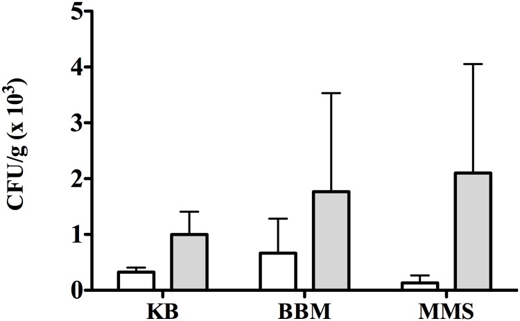 Fig 2