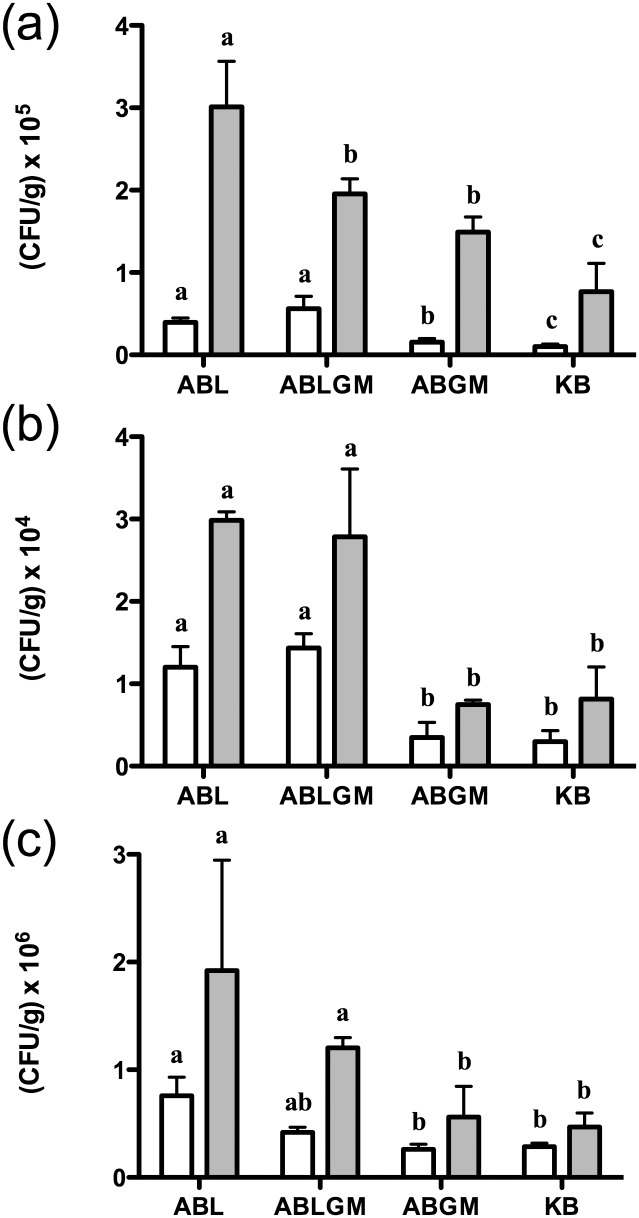 Fig 11