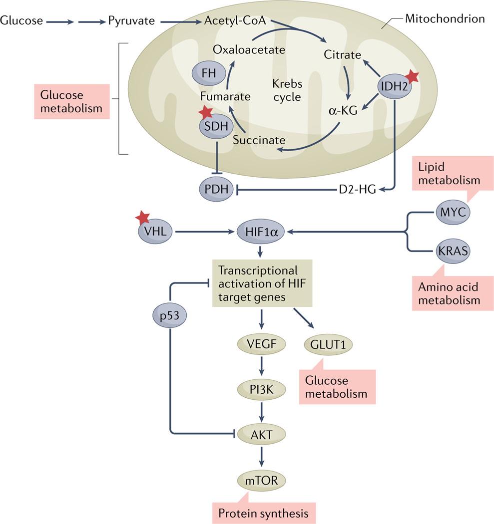 Fig. 4 |