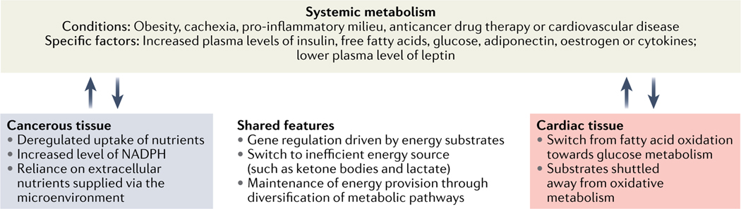 Fig. 2 |