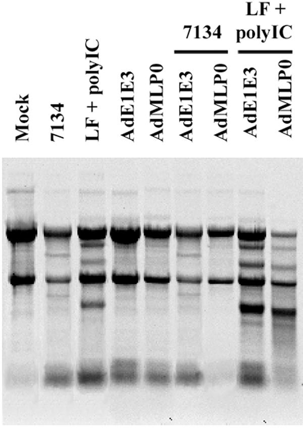 FIG. 6.