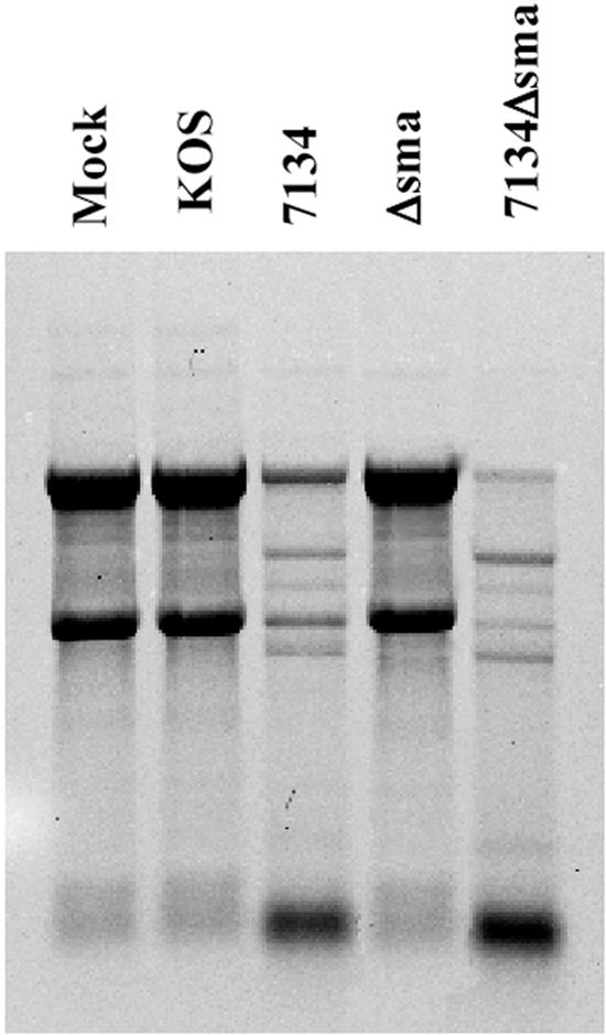 FIG. 5.