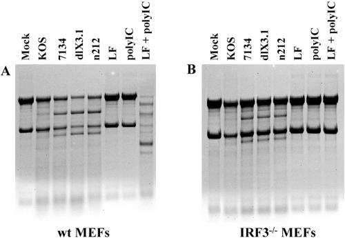 FIG. 7.