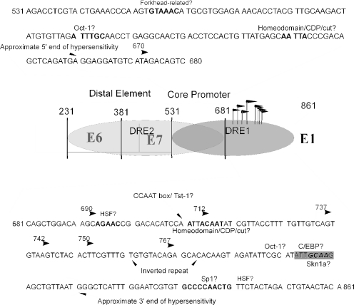 FIG.9.