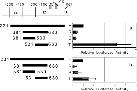 FIG. 5.