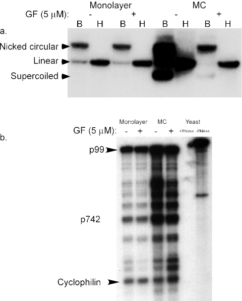 FIG. 7.