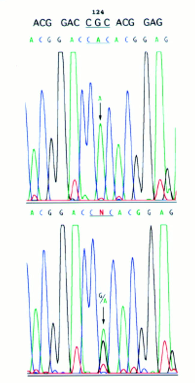 Figure 5  