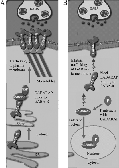 FIG. 8.