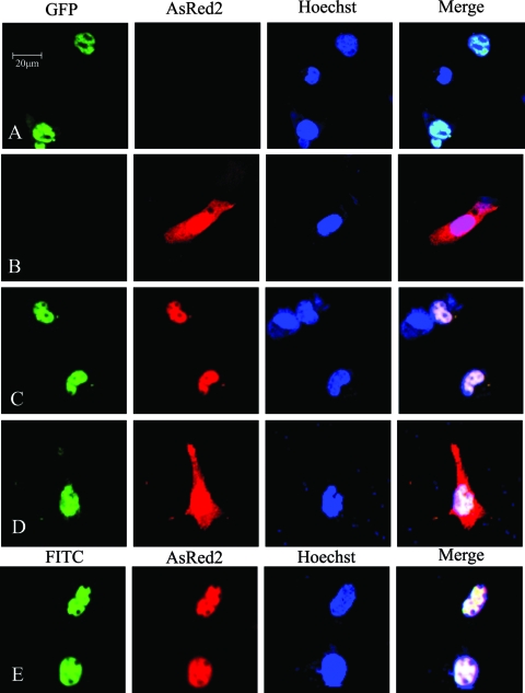 FIG. 6.