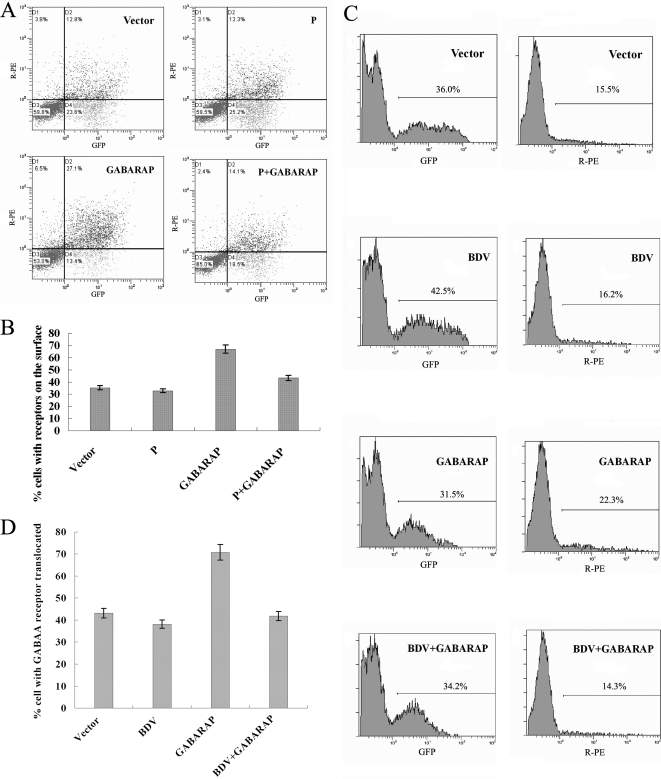 FIG. 7.