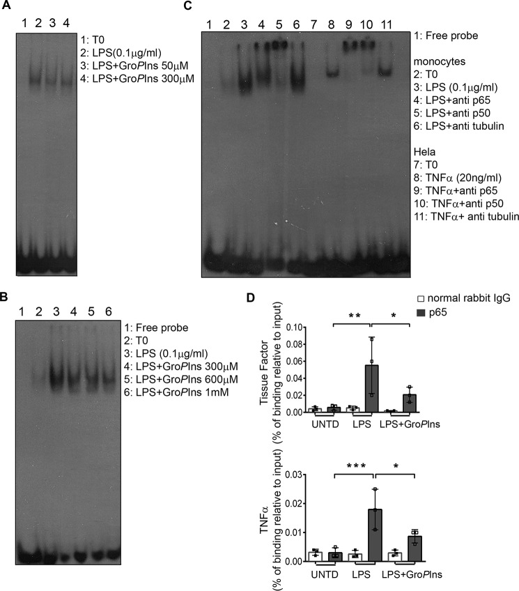 Figure 5.