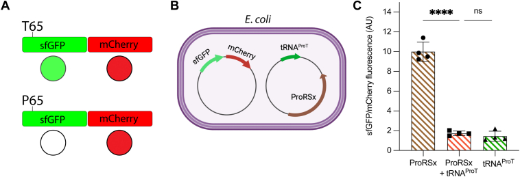 Figure 4