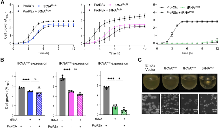 Figure 6