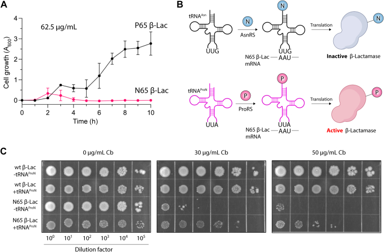 Figure 5