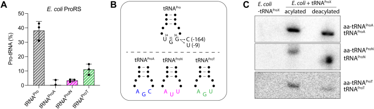 Figure 7