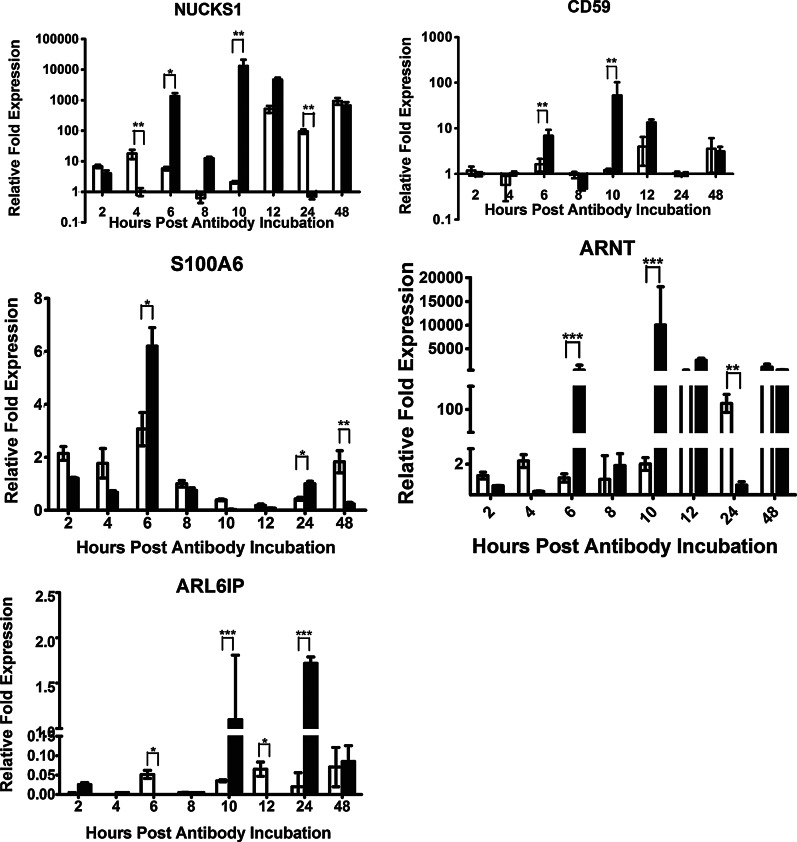 FIG. 2.