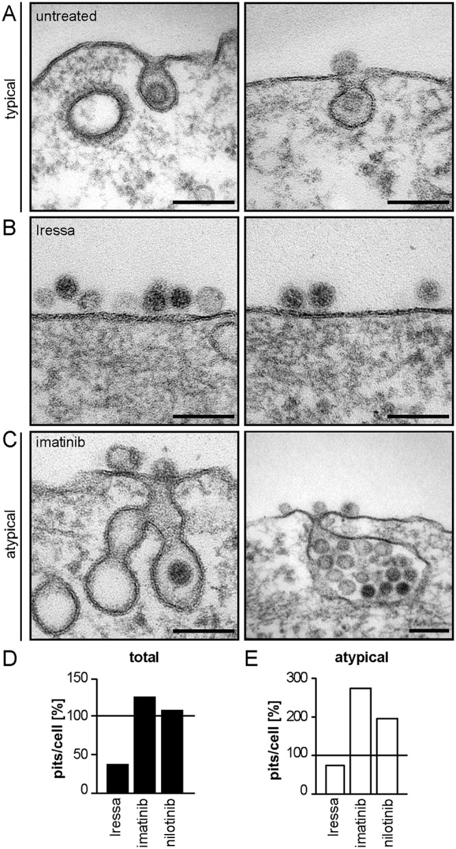 FIG 4