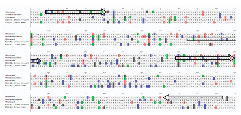 Figure 5