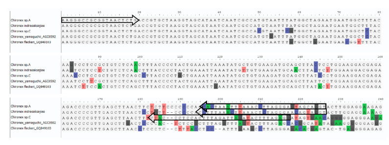 Figure 4