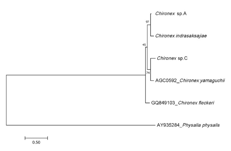 Figure 2