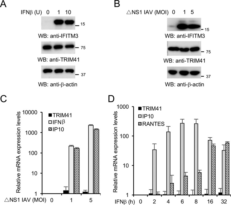 FIG 2