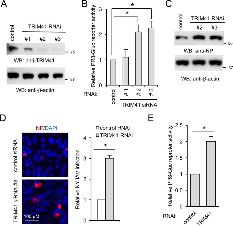 FIG 4