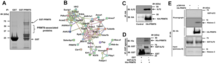 Figure 4: