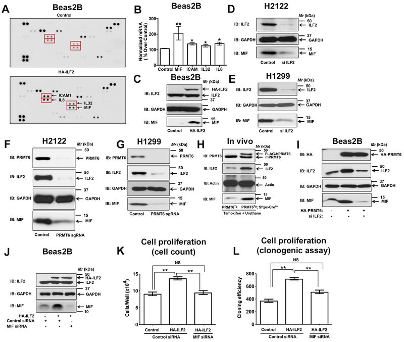 Figure 6: