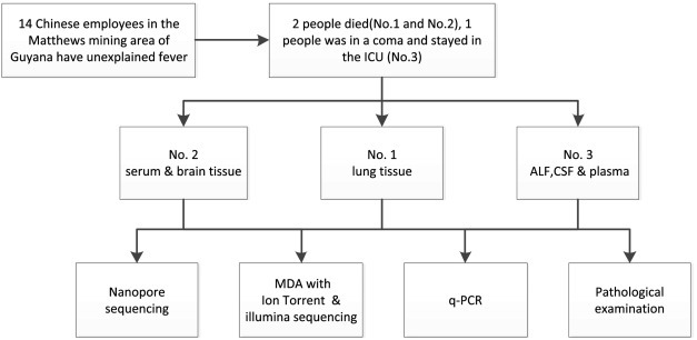 Fig. 1