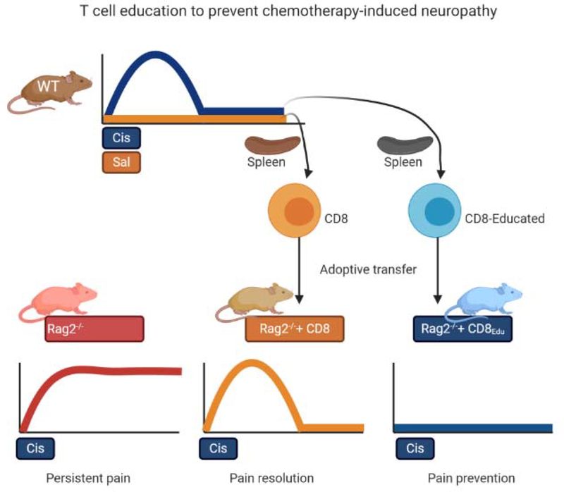 Figure 3: