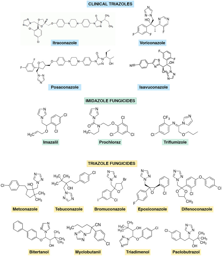 FIG 1