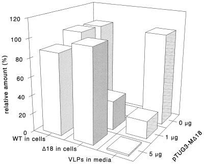 FIG. 8